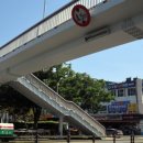 그지브로 이미지