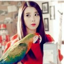 아이유매니지먼트
