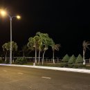 블랙펄포켓클럽 | [베트남/나트랑] 하나투어 패키지 베트남 달랏&amp;나트랑 1