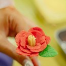 신흥2리마을 이미지