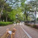 창평성심치과의원 | 4월 넷째 주) 스위치온 다이어트 유지기 후기와 일상