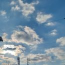 (주)유성렌트카 이미지