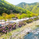 소선암매점 이미지