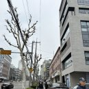 모드니장식 | 결혼준비 | 모드니드레스 가봉후기, 새로 이전한 모드니 너무 예쁘다!