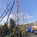 원지농원 이미지