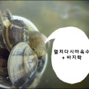 수 바지락칼국수 이미지