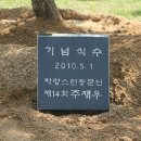 안남초등학교 Daum카페