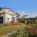 DG481펜션2 이미지