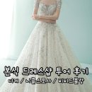 본식 드레스샵 투어 후기 : 디케 / 니콜스포사 / 비비드블랑