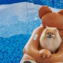 더 바사리 풀빌라 이미지