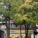 리니 | 일산 두바이 쫀득쿠키 맛집 리니베이크 솔직후기 | 밤리단길 디저트 두바이 초콜릿 수건케이크 롤케이크...