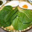 바보낙지 이미지