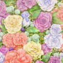 아이-정원 이미지