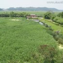 갈대습지공원 이미지