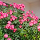 (주)누림 이미지