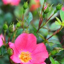 노을공원3 이미지