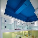 애견스케치 이미지