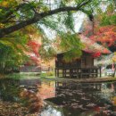 (주)케이본종합건설 | 세계유산-037. 일본의 유네스코 세계유산(12) ㅡ 히라이즈미(平泉) : 북방의 땅에 세운 불교 정토