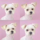 산호동457 이미지