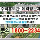 보니파크 이미지