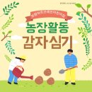 보람아트브레인어린이집 | ::보람아트브레인어린이집::농장활동_감자심기