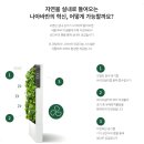 우진조경 - 원주시 이화3길 23 | 우진 엄마·참교육 그린월 나아바 코리아로 공기청정 습도관리 해보세요