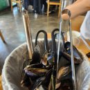 물총칼국수 이미지