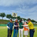 파크골프 이미지