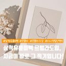 삼척유륜미백 르멜라, 단 1회로 신뢰를 만드는 핑크빛 솔루션! 멜라티스트 지금 모집 중