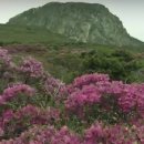 하누농장 이미지