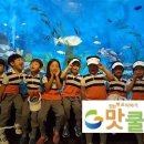 강구초등학교병설유치원 이미지