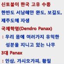 나무메디 이미지