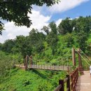 임학공원 출렁다리 이미지