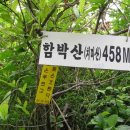 기장구조대 이미지