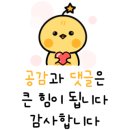 헬로밀가루 부산사상점 이미지