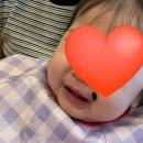 리틀우리태권도 | &lt;리틀킹콩&gt; 문센 후기