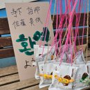 칠보산자유공동체 | [수원 칠보산 자유학교] 일본 청소년의 한국 홈스테이 후기