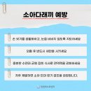 세안안과의원 이미지