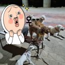 만천천길 네이버블로그