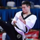 고려체대태권도 이미지