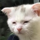 반포대로28길 80 | [주간일기] 250203-250209 일상