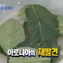 슈퍼베리 이미지