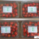 덕명농장 이미지