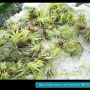 시아농장 이미지