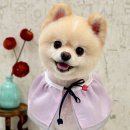 그루밍가든 이미지