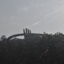 바니사 이미지