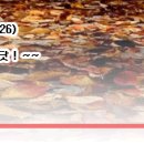 서신목장 이미지