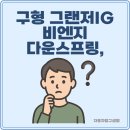 구형 그랜저IG 비엔지 다운스프링, 더뉴그랜저IG에 호환될까?