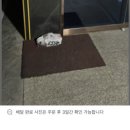 4월_ 나 너무많은 일이 잇엇어