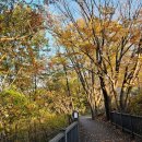 태학산자연휴양림 잔디광장 이미지